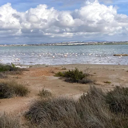 Sea & Sun Escape - La Mata Торевьиа