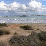 Sea & Sun Escape - La Mata Торевьиа