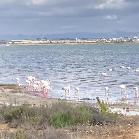 Sea & Sun Escape - La Mata *