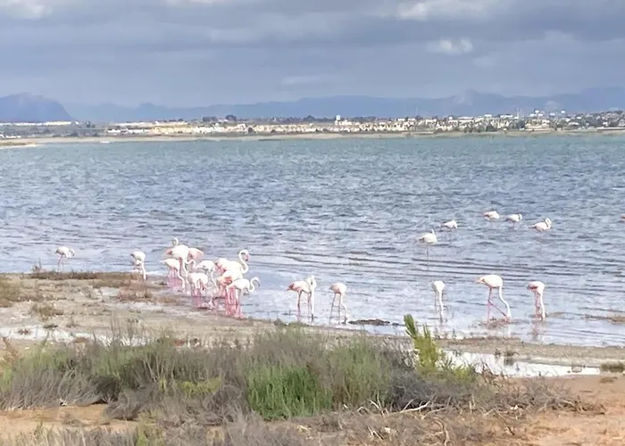 Sea & Sun Escape - La Mata *