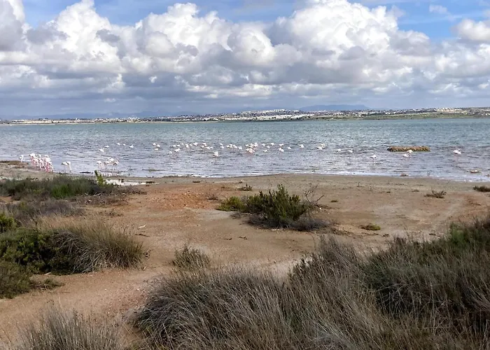 Sea & Sun Escape - La Mata Torrevieja